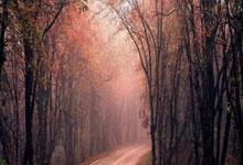 虎扑体育官网：高尔夫——2025蓝湾大师赛开赛.