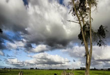 虎扑体育官网：CBA争四大战！今晚山东PK辽宁，北京PK天津，新疆PK北控.