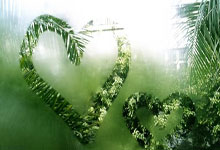 [中超]奥斯卡挑传门前 武磊头球梅开二度.