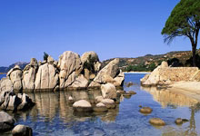 [篮球]中国三人篮球男、女队各自挺进半决赛.